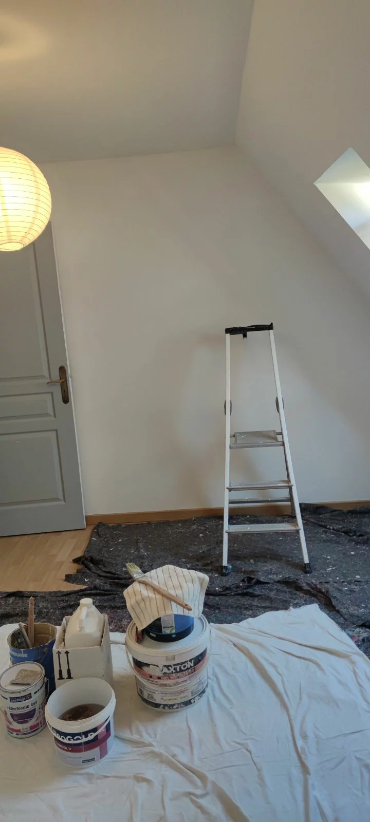 Réalisation de peinture ou pose de sol par Patrick DOMINIQUE, artisan peintre à Tours – chantier 3